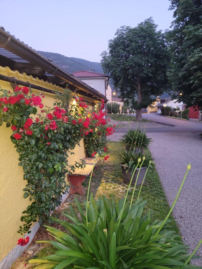 Pension & Ferienwohnung Dullnig กมุนด์ อิน คาร์นเทิน ภายนอก รูปภาพ